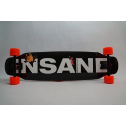 INSANE CUSTOM - ANOR24 - TEMPER